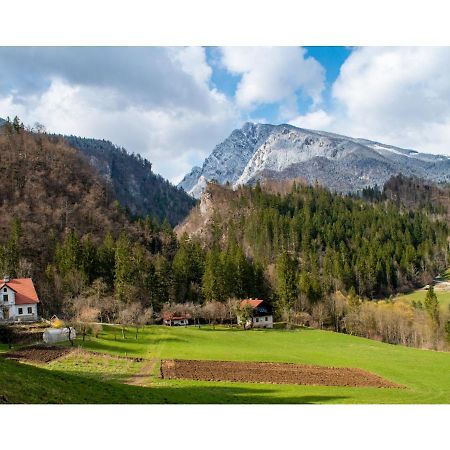 Turisticna Kmetija Stoglej Villa Luče Esterno foto