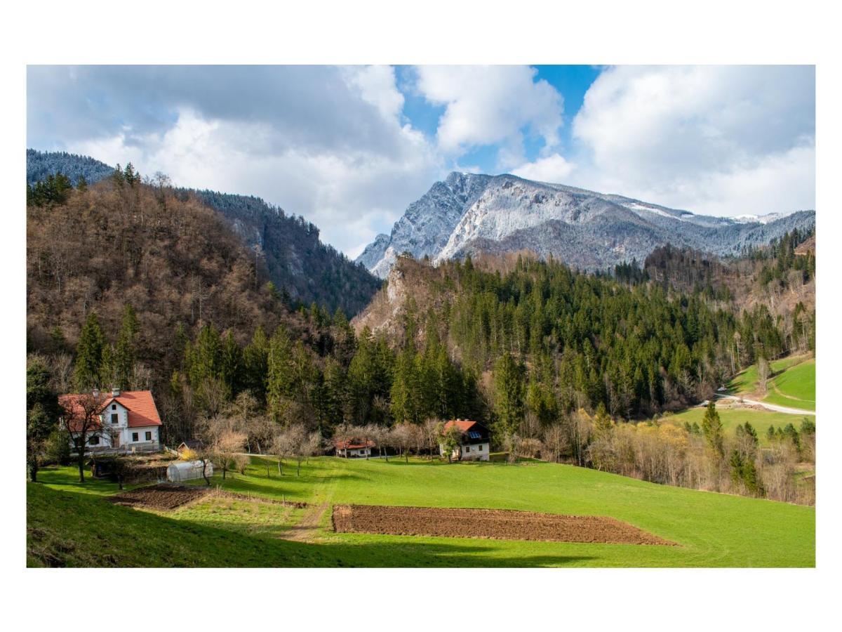 Turisticna Kmetija Stoglej Villa Luče Esterno foto