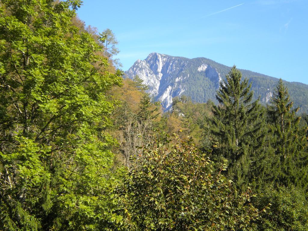 Turisticna Kmetija Stoglej Villa Luče Esterno foto