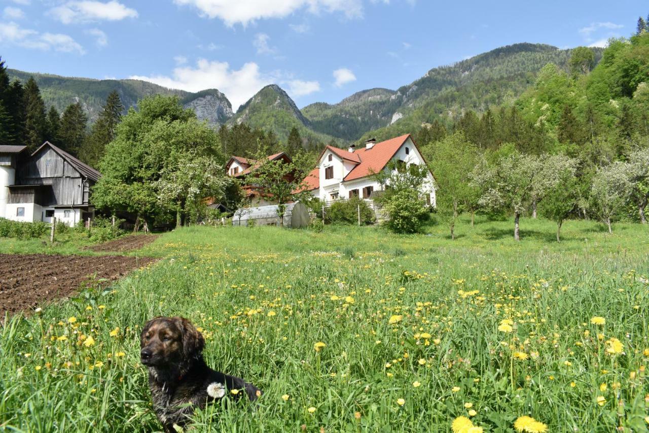 Turisticna Kmetija Stoglej Villa Luče Esterno foto